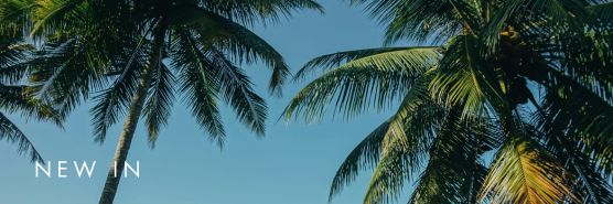 BANNERS_DE_CATEGORIAS_MIXED_MBL__556_x_185_px___1_