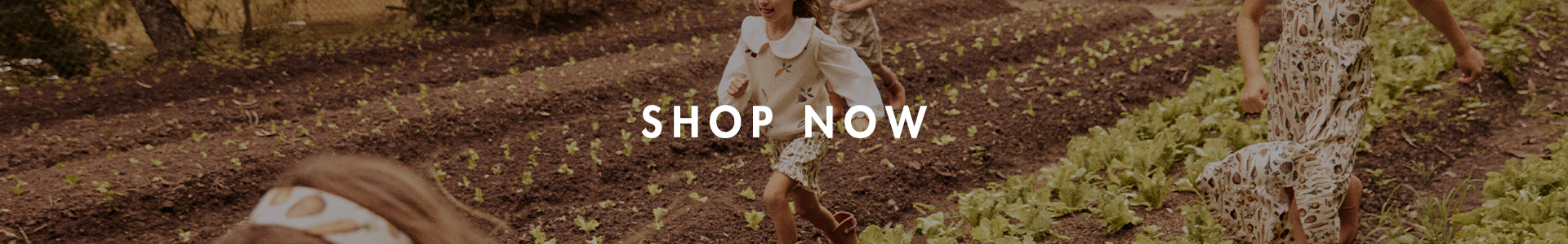 BANNER_SHOP_NOW_1