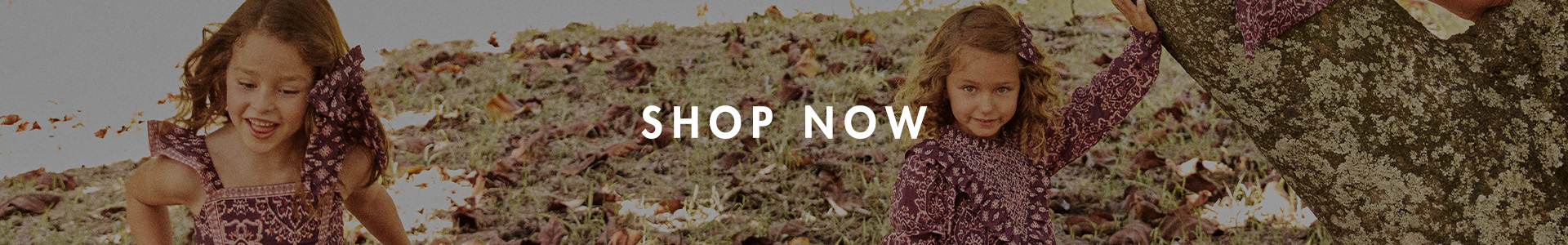 BANNER_SHOP_NOW_4