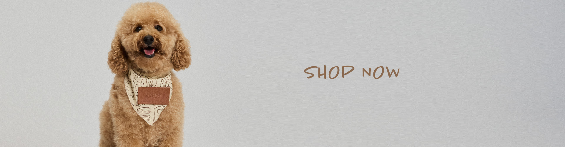 SHOP_NOW_DESKTOP