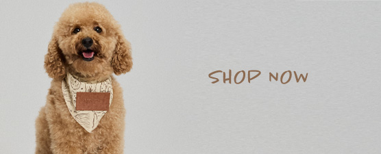 SHOP_NOW_MOBILE