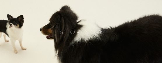 BANNER_SHOP_NOW_MOBILE_4_