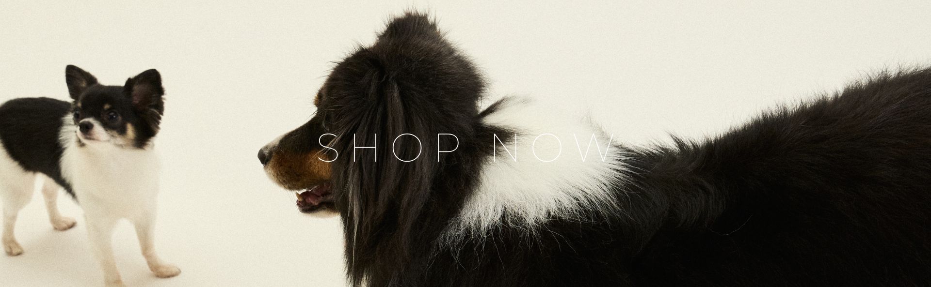 HOME_SHOP_NOW_BANNER_DESK_4_