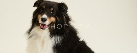 BANNER_SHOP_NOW_MOBILE_1_