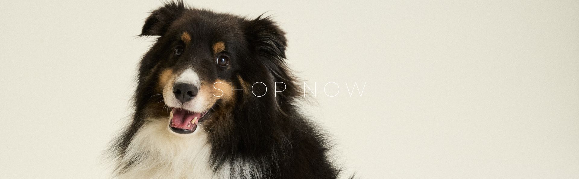 HOME_SHOP_NOW_BANNER_DESK_1_