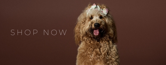 BANNER_SHOP_NOW_MOBILE_1_