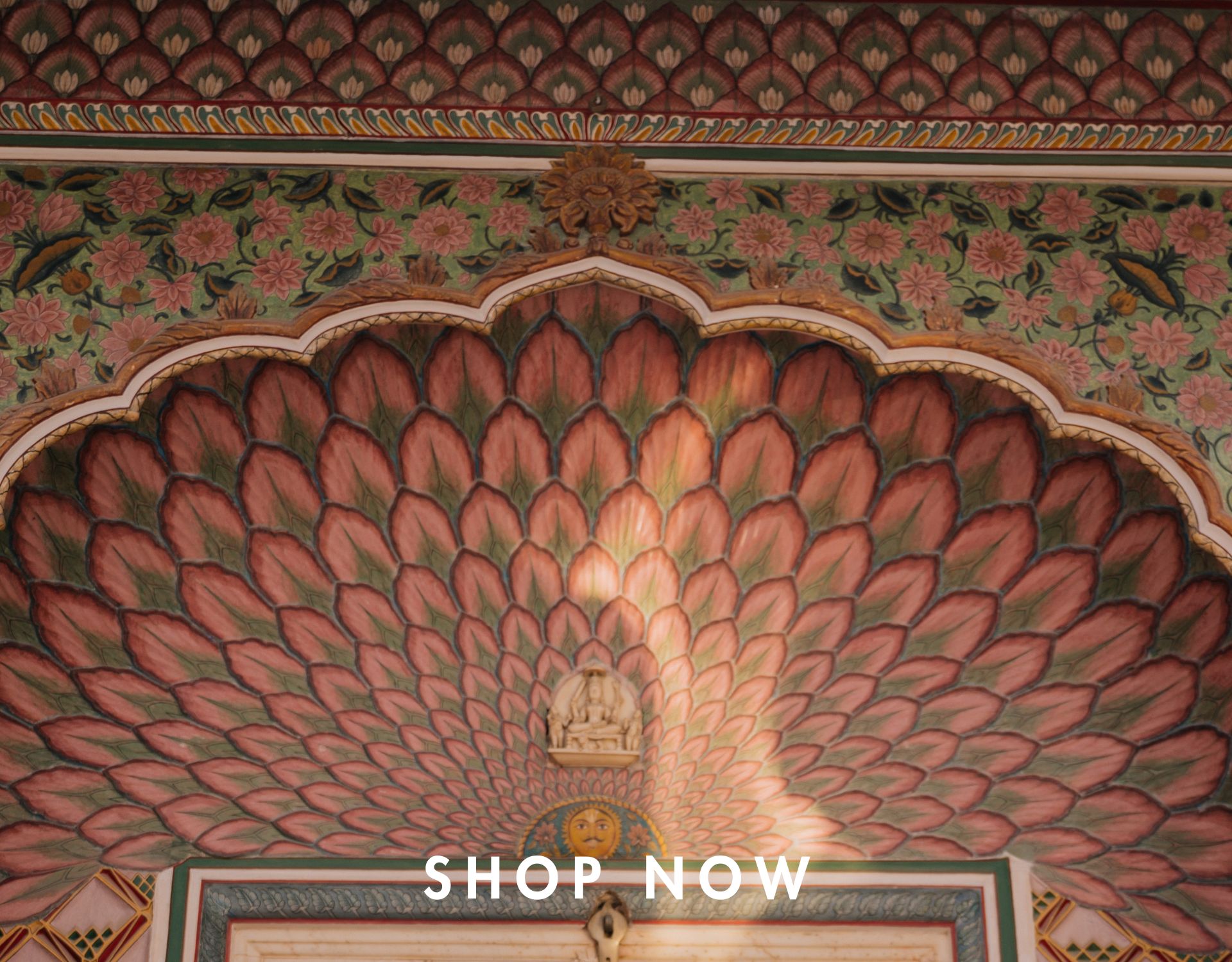 banner_shop_now