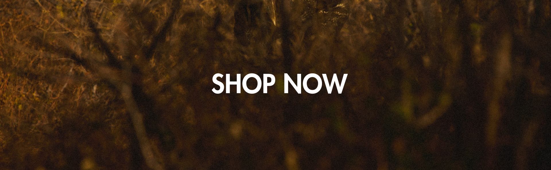 HOME_SHOP_NOW_BANNER_DESK_6_