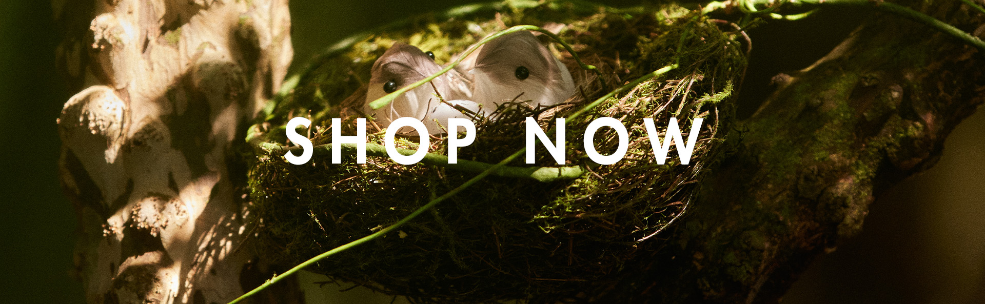 BANNER-SHOP-NOW-I25-008