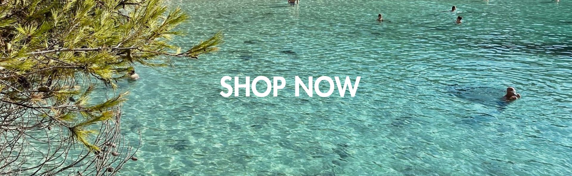 HOME_SHOP_NOW_BANNER_DESK