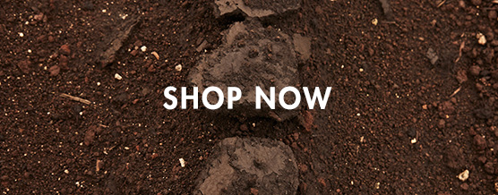 MOBILE_SHOP_NOW_12
