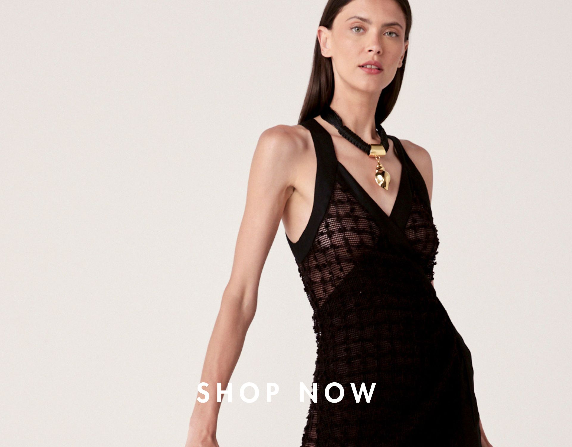 BANNER_SHOP_NOW_DESKTOP