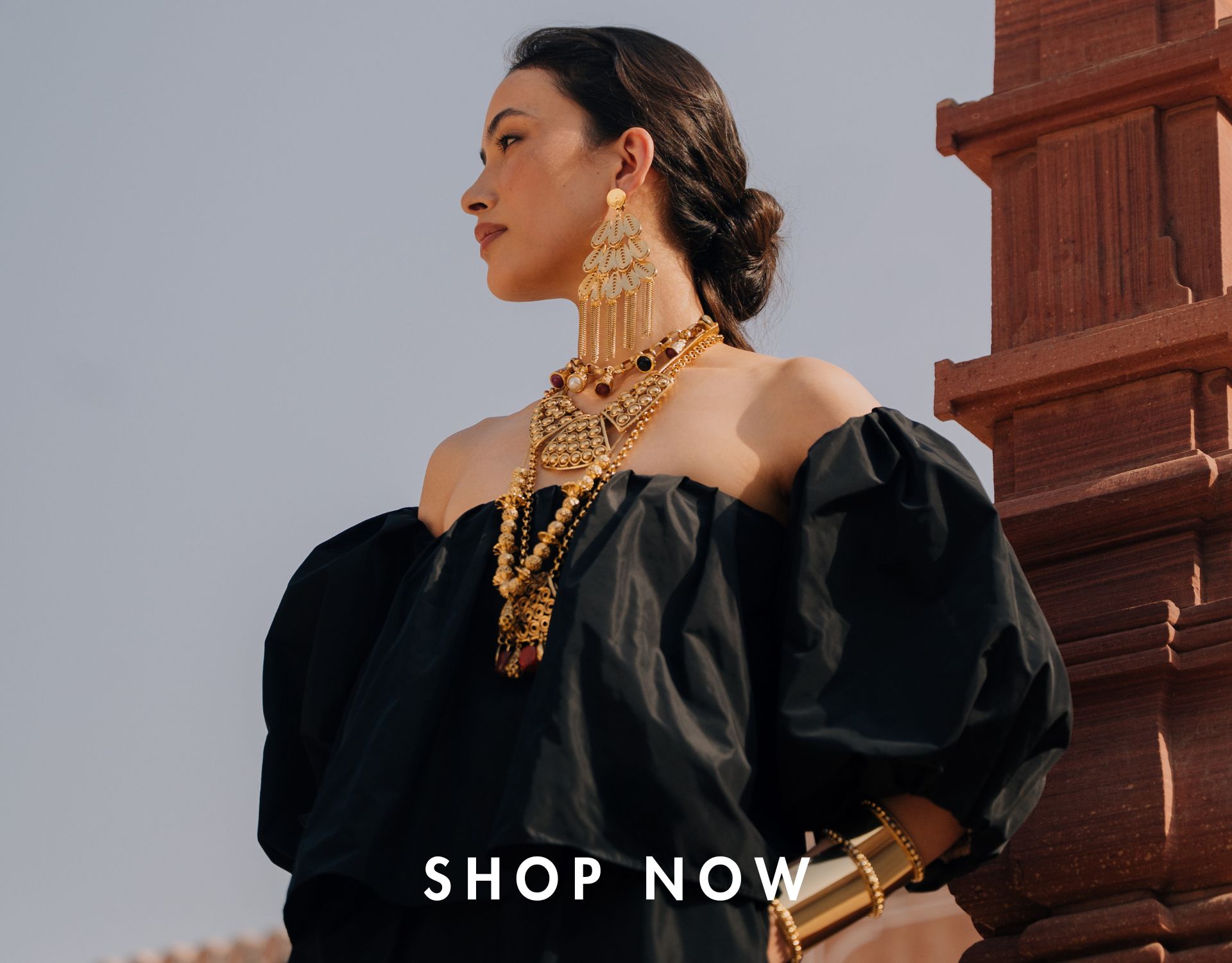 dsk_banner_shop_now