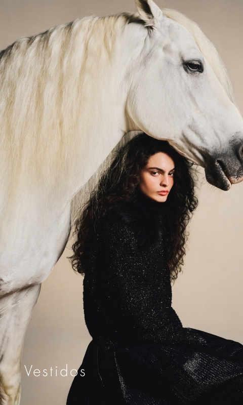 vestidos--novo--DESK