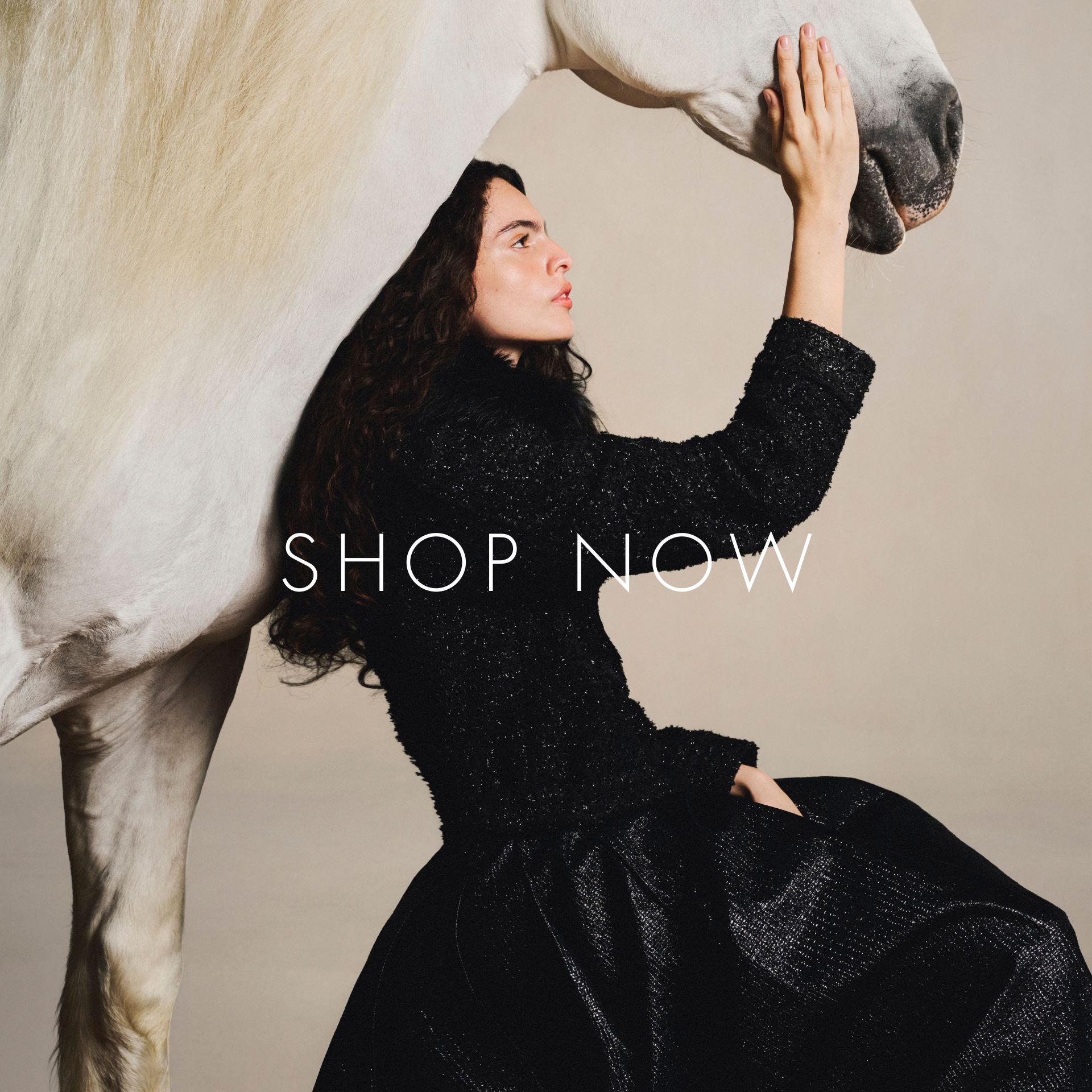 SHOP_NOW_DESKTOP_3_