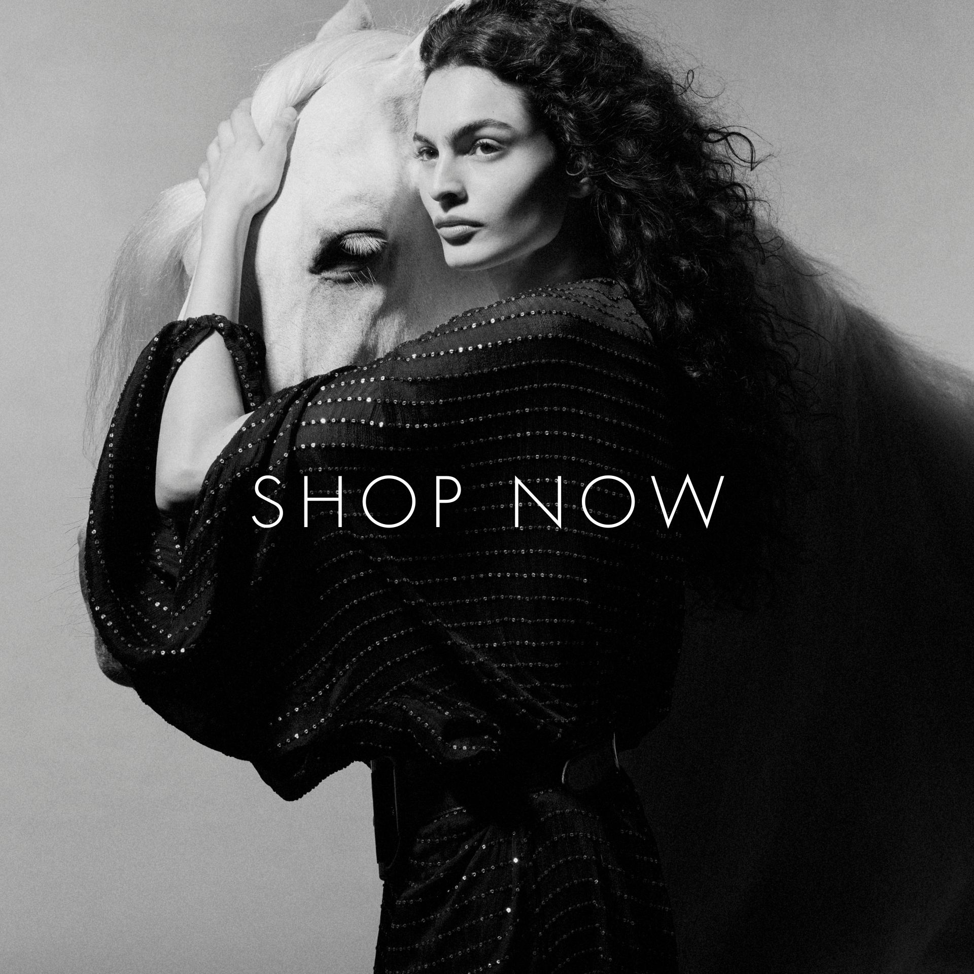 SHOP_NOW_DESKTOP_3_
