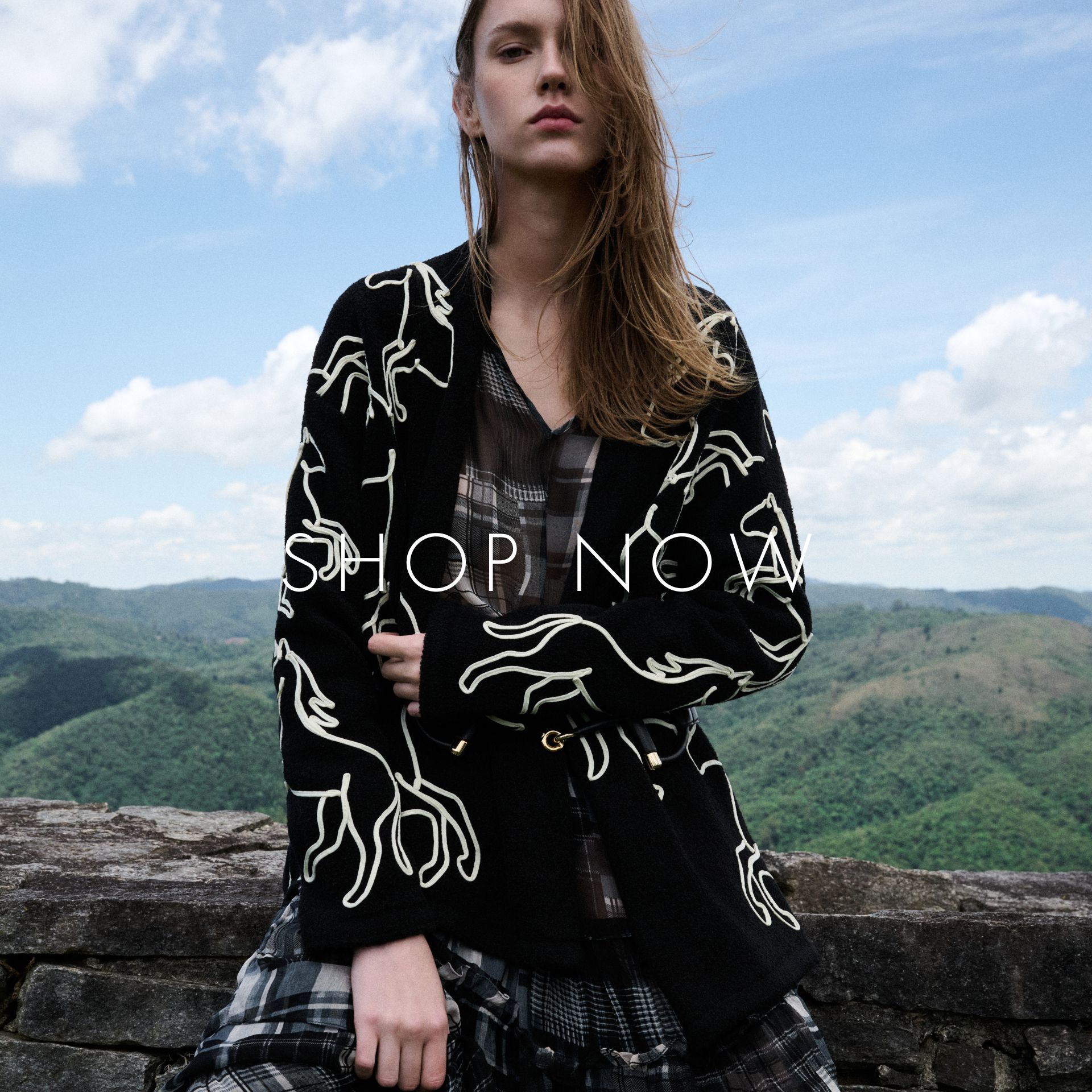 SHOP_NOW_DESKTOP_3_