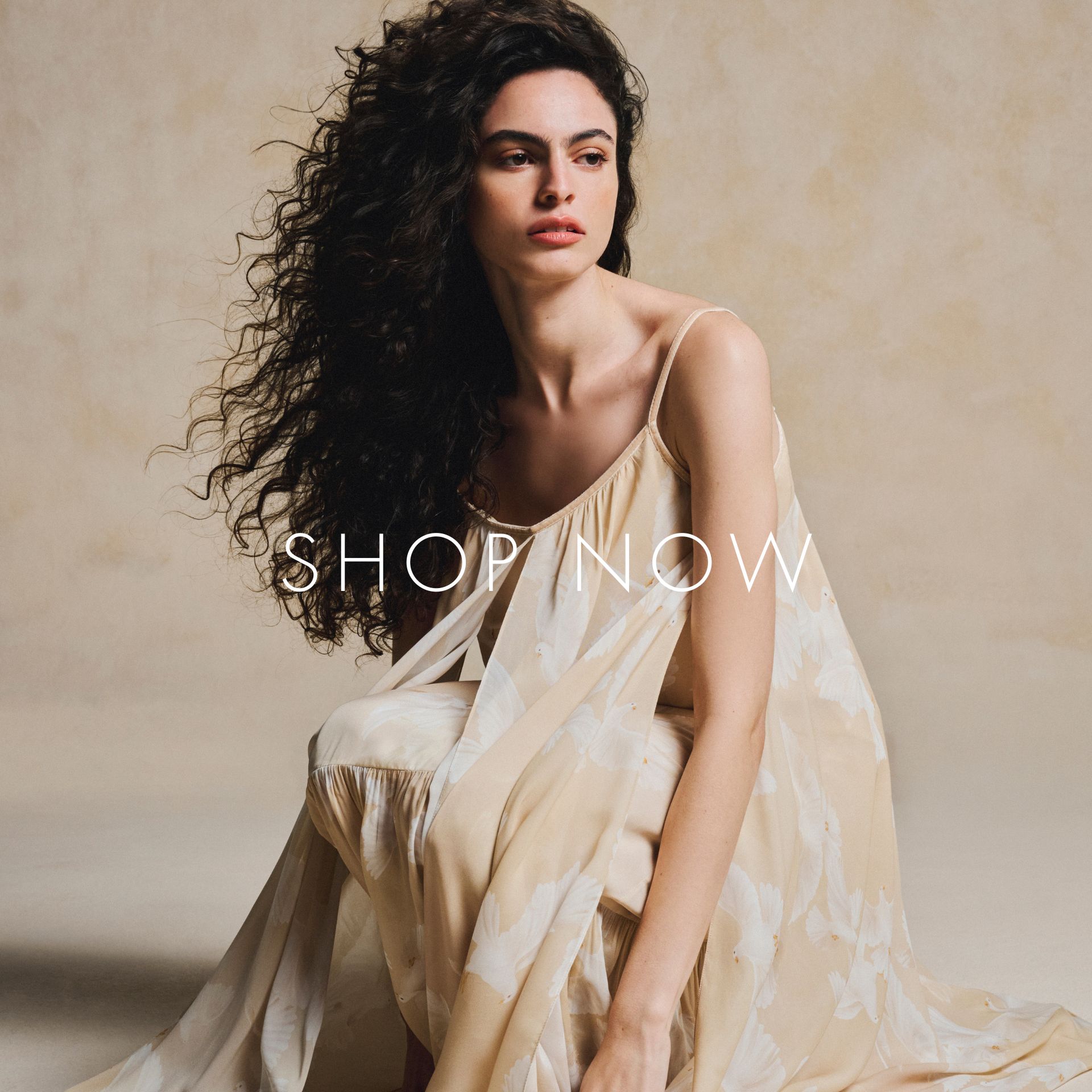 SHOP_NOW_DESKTOP_3_